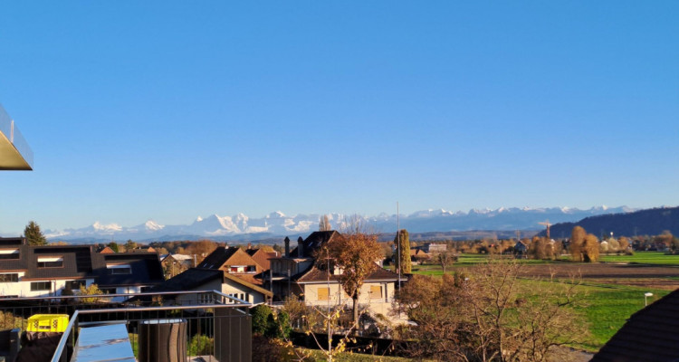 Vue à couper le souffle : attique dexception avec grande terrasse panoramique image 1