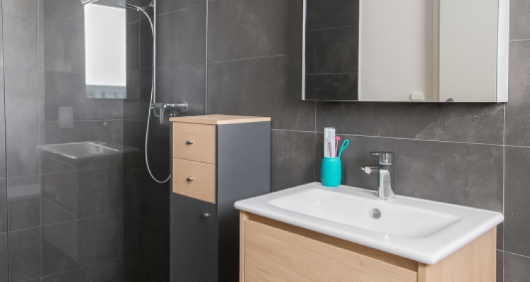 Vue à couper le souffle : attique dexception avec grande terrasse panoramique image 9