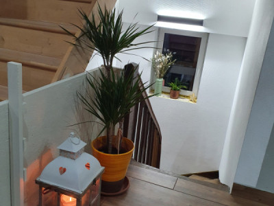 Maison familiale écologique où il fait bon vivre image 6