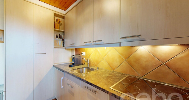 Dernier étage avec vue panoramique sur les montagnes image 5