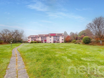 Duplex-Gartenwohnung direkt am See image 12