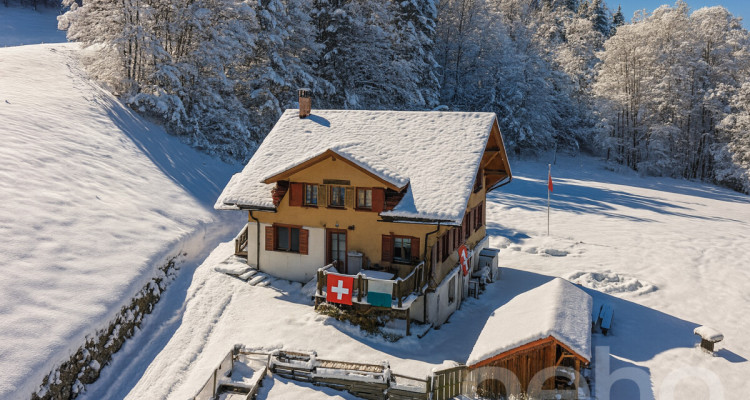 Magnifique chalet rénové - grand terrain et bord de rivière à Etivaz image 1