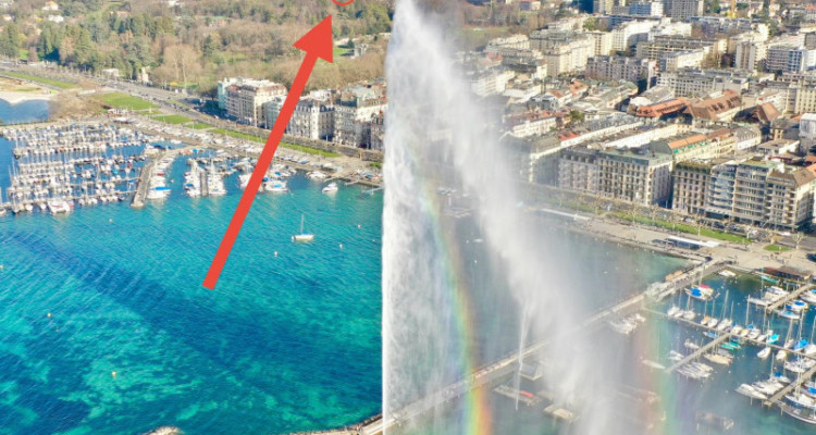 🏡 Reprise de bail – 5 pièces, Genève (Route de Frontenex) au : immédiate image 12