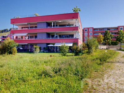 Appartement moderne de 2.5 pièces à Döttingen image 8