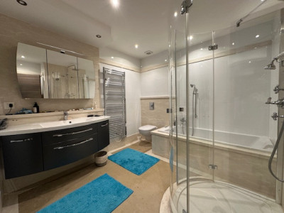 BEL APPARTEMENT DANGLE EN ATTIQUE AU CENTRE DU VILLAGE DEVIONNAZ image 6