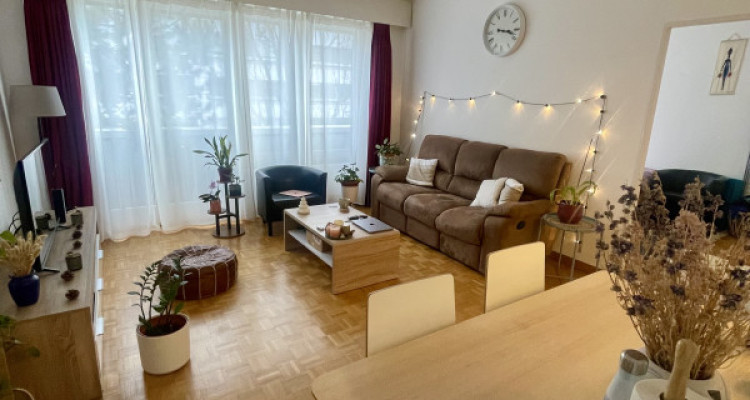 Très beau 3 pièces à Champel image 1