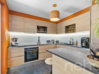 Exclusif: magnifique villa familiale de 5.5 pièces avec grand jardin image 5