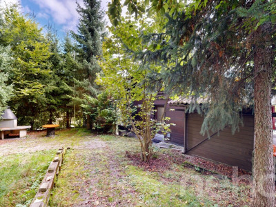 Charmantes Einfamilienhaus mit Einliegerwohnung und Gartenparadies image 8