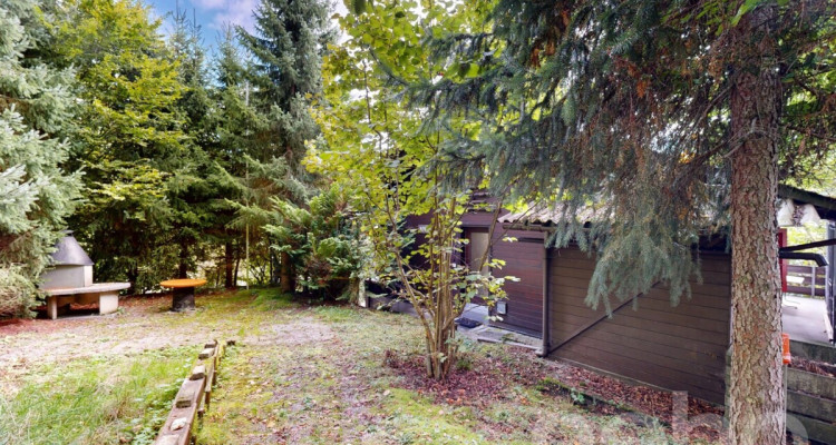 Charmantes Einfamilienhaus mit Einliegerwohnung und Gartenparadies image 8