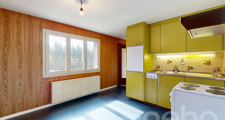 Charmantes Einfamilienhaus mit Einliegerwohnung und Gartenparadies image 9