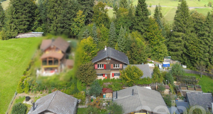 Charmantes Einfamilienhaus mit Einliegerwohnung und Gartenparadies image 2