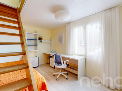 Sonniges Drei-Familienhaus, 2 Gewerberäume und viel Potenzial image 9