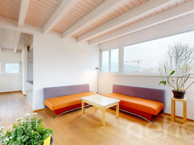 Einfamilienhaus mit Werkhalle und PV-Anlage in Gelterkinden image 9