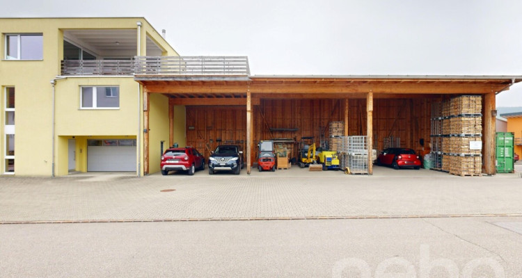 Einfamilienhaus mit Werkhalle und PV-Anlage in Gelterkinden image 2