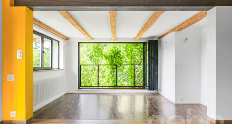 FERME RÉNOVÉE AVEC LOGEMENT INDÉPENDANT ET TERRAIN EN PERMACULTURE image 7