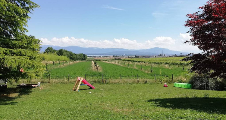 Magnifique villa à louer - Gland image 1