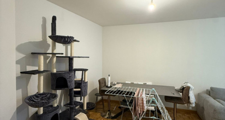 🏡 Reprise de bail – 4 pièces, Genève (Rue Daubin) au 01.02.2026 image 3