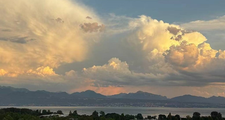 🏡 Reprise de bail – 3,5 pièces, Renens VD (Chemin des Côtes) au : 16.03.2026 image 2