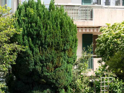 Appartement 5,5 pces de plain-pied image 8