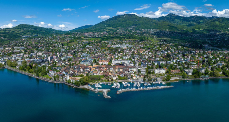 OBJET RARE A LA TOUR-DE-PEILZ image 6