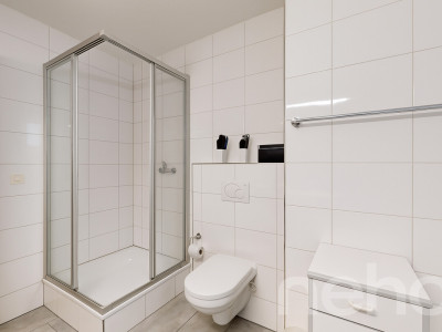 3.5-Zimmer-Attikawohnung in Schlieren image 8