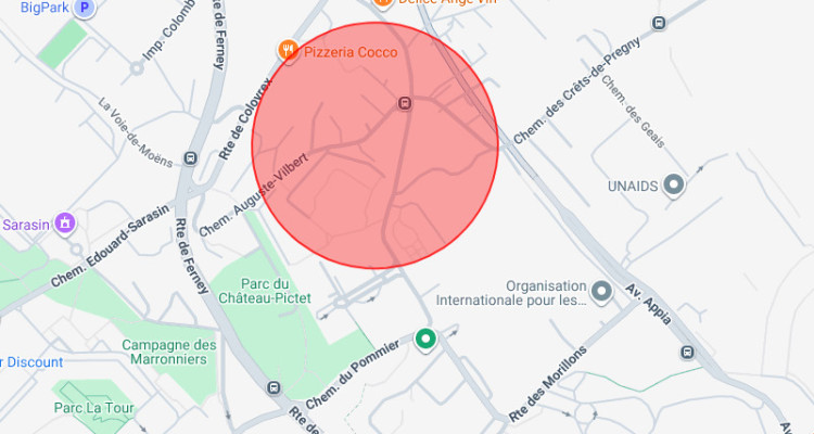 Appartement  3 pièces au Grand Saconnex image 1