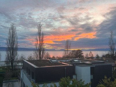 Pully – Magnifique 3,5 pièces avec vue imprenable sur le lac image 10