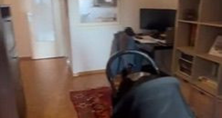 🏠 APPARTEMENT 4 PIÈCES À LOUER – Avenue Luserna image 4