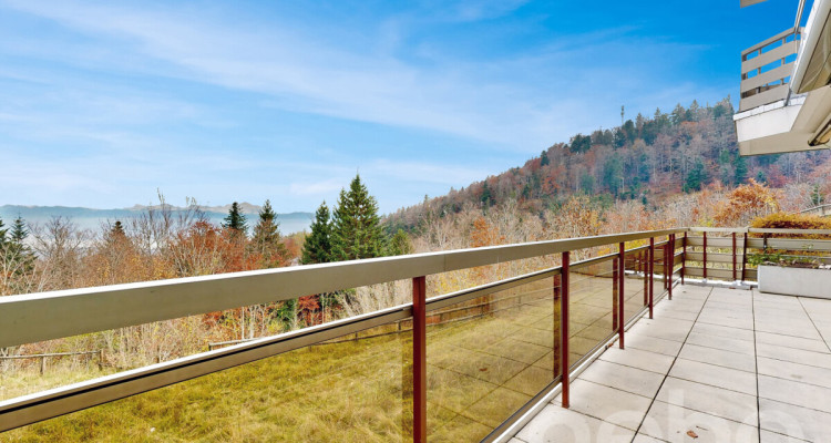 Appartement avec panorama sur le lac et les Alpes, proche du centre image 4