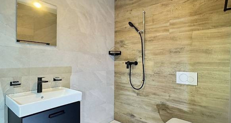 Studio au Centre de Lausanne, 1400CH image 3