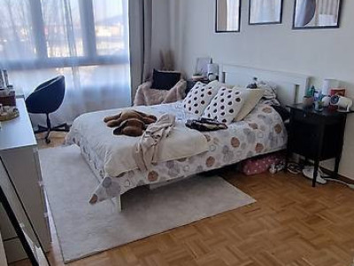 Appartement lumineux de 5 pièces au Grand-Lancy avec balcon image 5