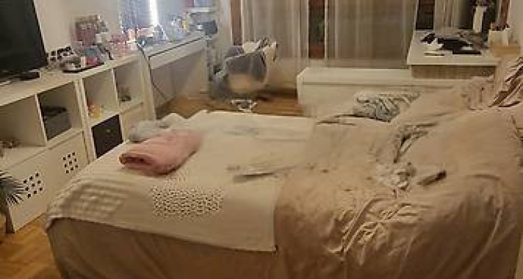 Appartement lumineux de 5 pièces au Grand-Lancy avec balcon image 4