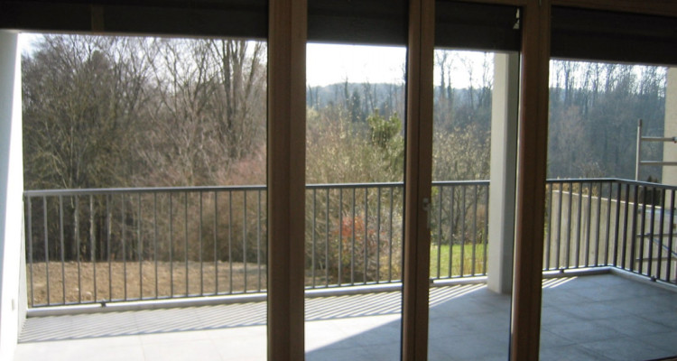 A LOUER - Objet rare à Nyon image 1