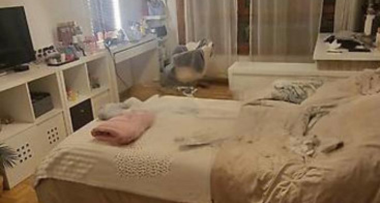 🏠 APPARTEMENT 5 PIÈCES À LOUER – GRAND-LANCY (1212) image 1