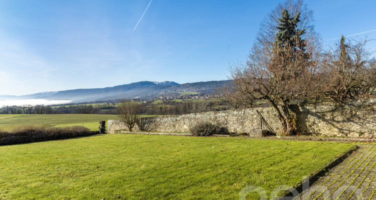 Belle demeure villageoise avec appartement indépendant image 8