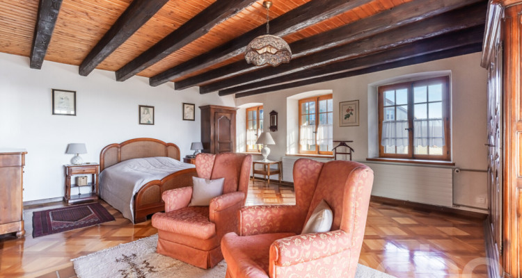 Belle demeure villageoise avec appartement indépendant image 12