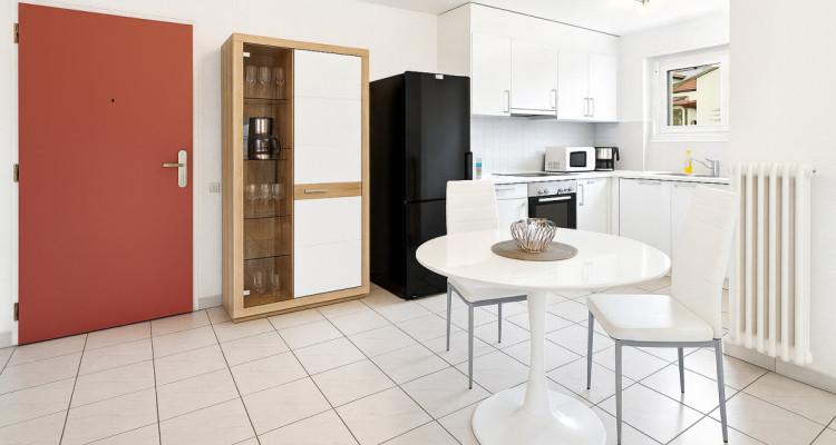 Vue lac panoramique 180° – Appartement meublé d’exception image 7