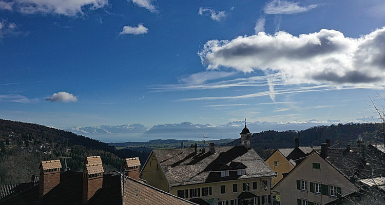 Exceptionnelle villa 9 pièces - 6 chambres image 5