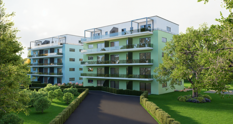 Appartements neufs tout confort image 8