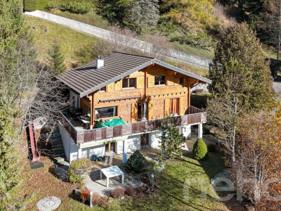 Propriété dexception - Gryon - Chalet de 8 pièces image 1