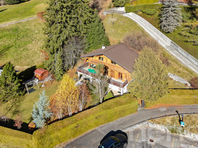 Propriété dexception - Gryon - Chalet de 8 pièces image 12