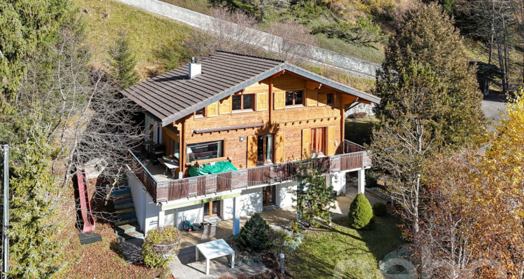 Propriété dexception - Gryon - Chalet de 8 pièces image 1