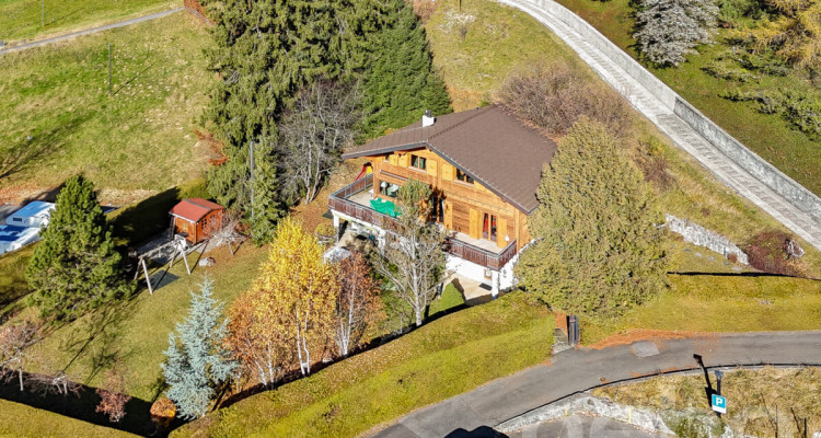 Propriété dexception - Gryon - Chalet de 8 pièces image 12