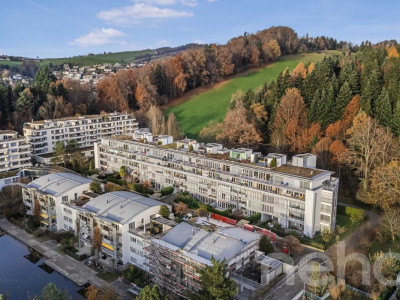 Helle 1.5-Zimmer?Attikawohnung mit Pilatusblick im Büttenenquartier image 1