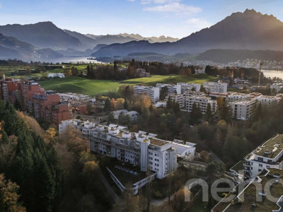 Helle 1.5-Zimmer?Attikawohnung mit Pilatusblick im Büttenenquartier image 2