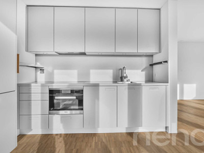 Helle 1.5-Zimmer?Attikawohnung mit Pilatusblick im Büttenenquartier image 3