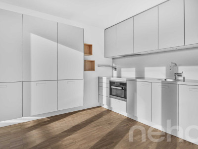 Helle 1.5-Zimmer?Attikawohnung mit Pilatusblick im Büttenenquartier image 4