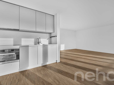 Helle 1.5-Zimmer?Attikawohnung mit Pilatusblick im Büttenenquartier image 5