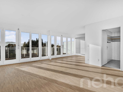 Helle 1.5-Zimmer?Attikawohnung mit Pilatusblick im Büttenenquartier image 8