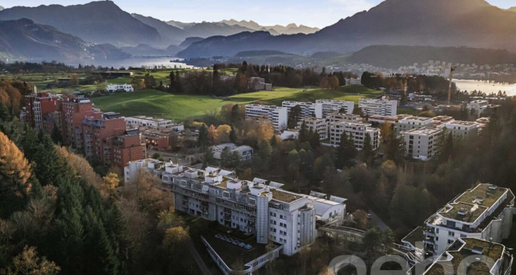 Helle 1.5-Zimmer?Attikawohnung mit Pilatusblick im Büttenenquartier image 2